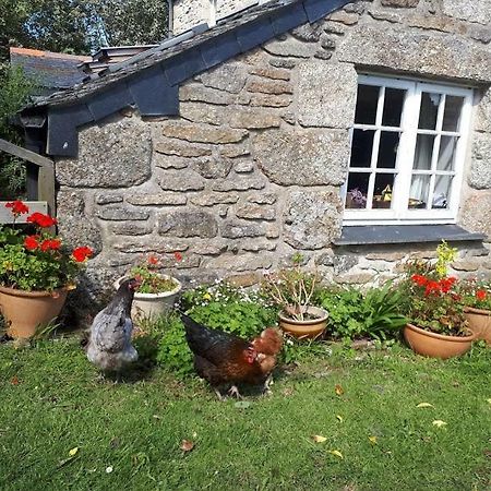 Borea Barn Vegetarian B&B St Ives  Exterior photo