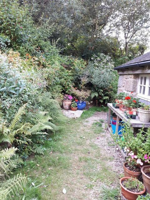 Borea Barn Vegetarian B&B St Ives  Exterior photo